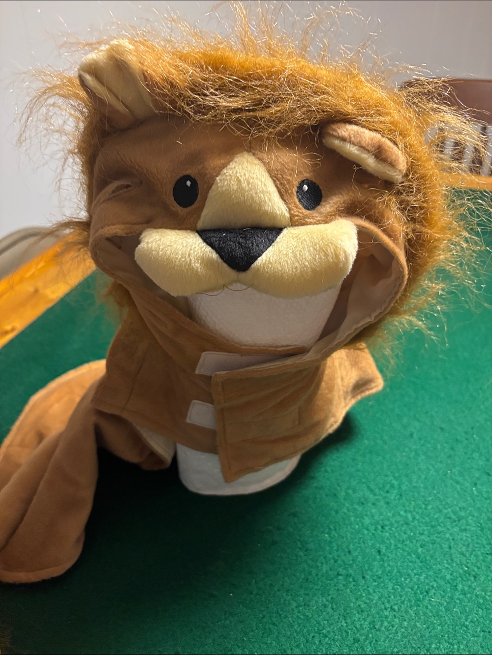 Michaels dog Lion costume